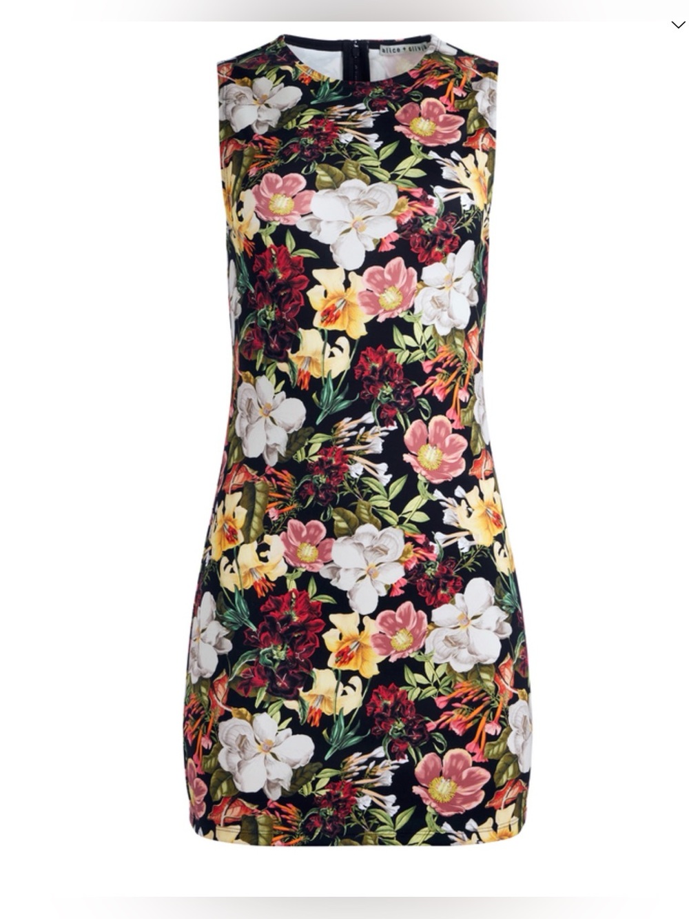 ALICE + OLIVIA WYNELL MINI DRESS in Juniper Floral sz 4